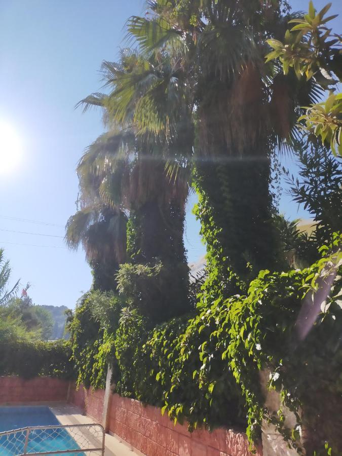 Ali Baba Otel Marmaris Eksteriør billede